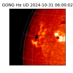 gong - 2024-10-31T06:00:02