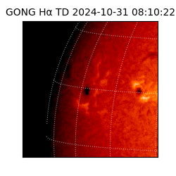 gong - 2024-10-31T08:10:22