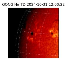 gong - 2024-10-31T12:00:22