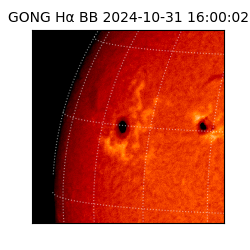 gong - 2024-10-31T16:00:02