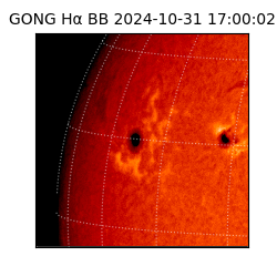 gong - 2024-10-31T17:00:02