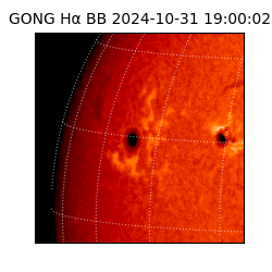 gong - 2024-10-31T19:00:02