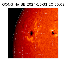 gong - 2024-10-31T20:00:02