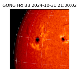 gong - 2024-10-31T21:00:02