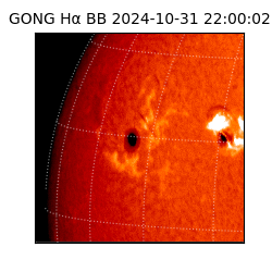 gong - 2024-10-31T22:00:02