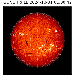 gong - 2024-10-31T01:00:42