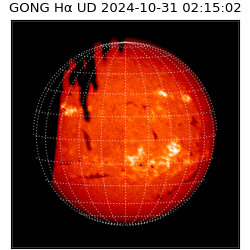 gong - 2024-10-31T02:15:02