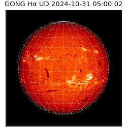 gong - 2024-10-31T05:00:02