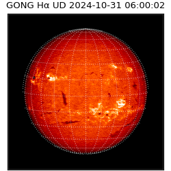 gong - 2024-10-31T06:00:02