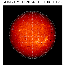 gong - 2024-10-31T08:10:22