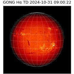 gong - 2024-10-31T09:00:22