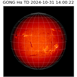 gong - 2024-10-31T14:00:22