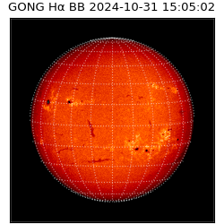 gong - 2024-10-31T15:05:02