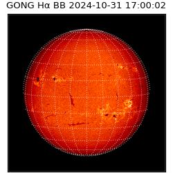 gong - 2024-10-31T17:00:02