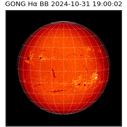 gong - 2024-10-31T19:00:02