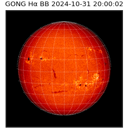 gong - 2024-10-31T20:00:02