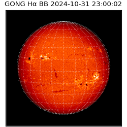 gong - 2024-10-31T23:00:02