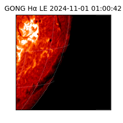 gong - 2024-11-01T01:00:42