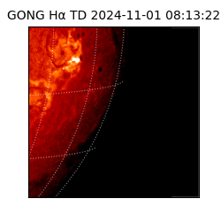 gong - 2024-11-01T08:13:22