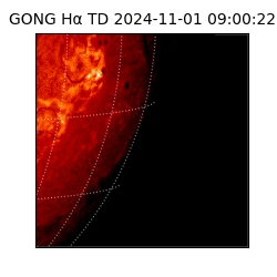 gong - 2024-11-01T09:00:22