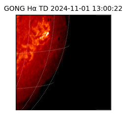 gong - 2024-11-01T13:00:22