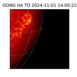 gong - 2024-11-01T14:00:22