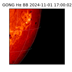 gong - 2024-11-01T17:00:02