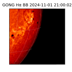gong - 2024-11-01T21:00:02
