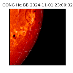 gong - 2024-11-01T23:00:02