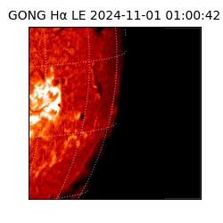 gong - 2024-11-01T01:00:42