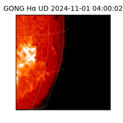 gong - 2024-11-01T04:00:02