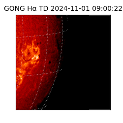 gong - 2024-11-01T09:00:22