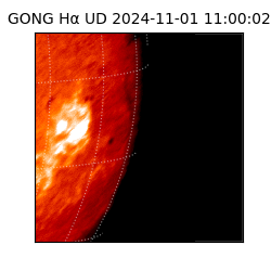 gong - 2024-11-01T11:00:02
