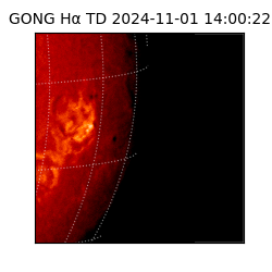 gong - 2024-11-01T14:00:22