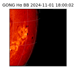 gong - 2024-11-01T18:00:02