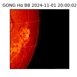 gong - 2024-11-01T20:00:02