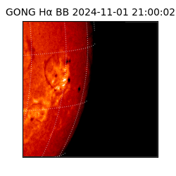 gong - 2024-11-01T21:00:02