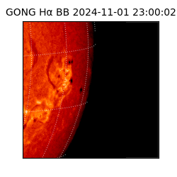 gong - 2024-11-01T23:00:02