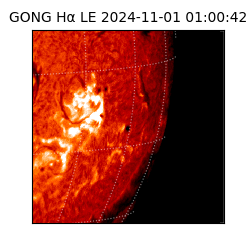 gong - 2024-11-01T01:00:42