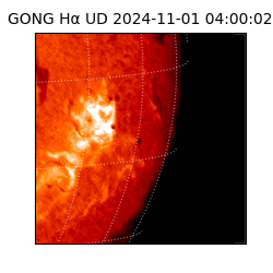 gong - 2024-11-01T04:00:02