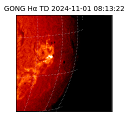 gong - 2024-11-01T08:13:22