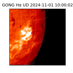 gong - 2024-11-01T10:00:02