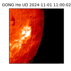 gong - 2024-11-01T11:00:02