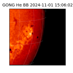 gong - 2024-11-01T15:06:02