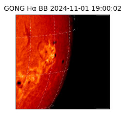 gong - 2024-11-01T19:00:02