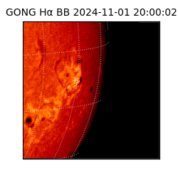 gong - 2024-11-01T20:00:02