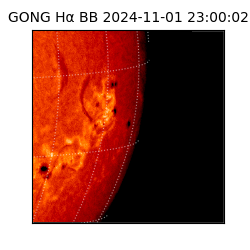 gong - 2024-11-01T23:00:02