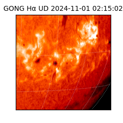 gong - 2024-11-01T02:15:02
