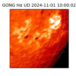 gong - 2024-11-01T10:00:02