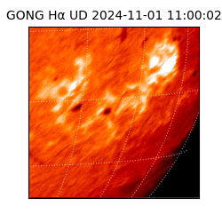 gong - 2024-11-01T11:00:02